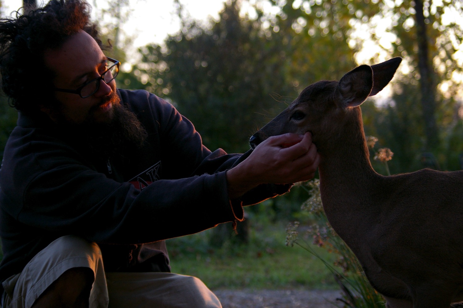 A man with a beard scratching the chin of a deer fawn