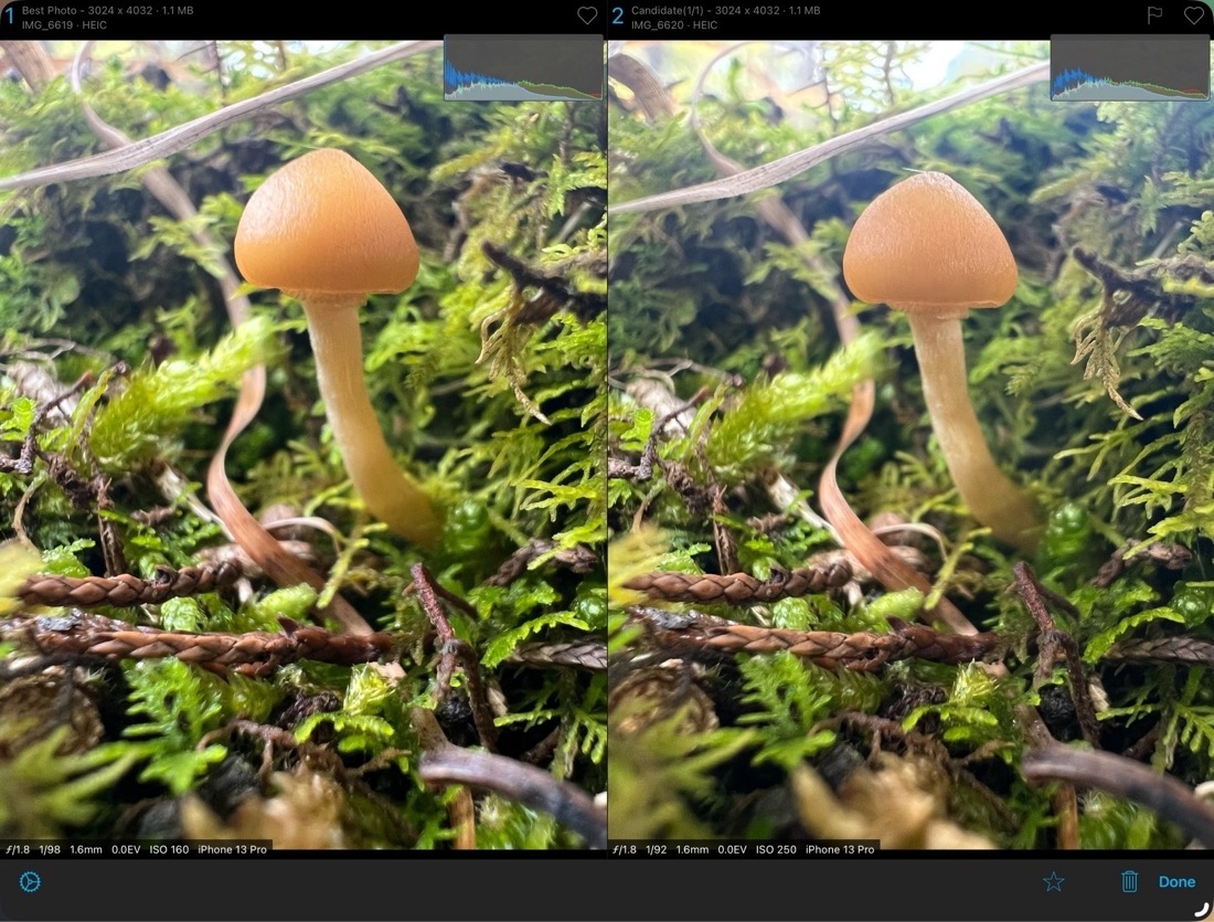 A side-by-side comparison of two images displayed in HashPhotos