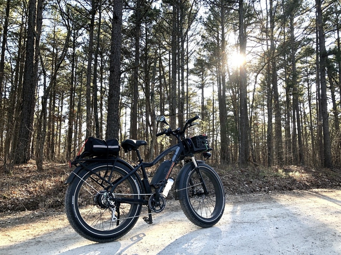 A black fat tire electric bike on a gravel road. In the background is a pine forest with the sun shining through the trees