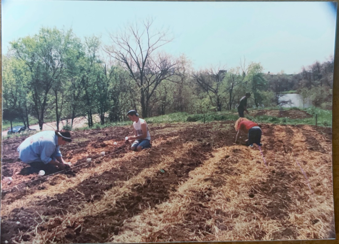 a newly tilled garden of rows of straw mulch with several people working 