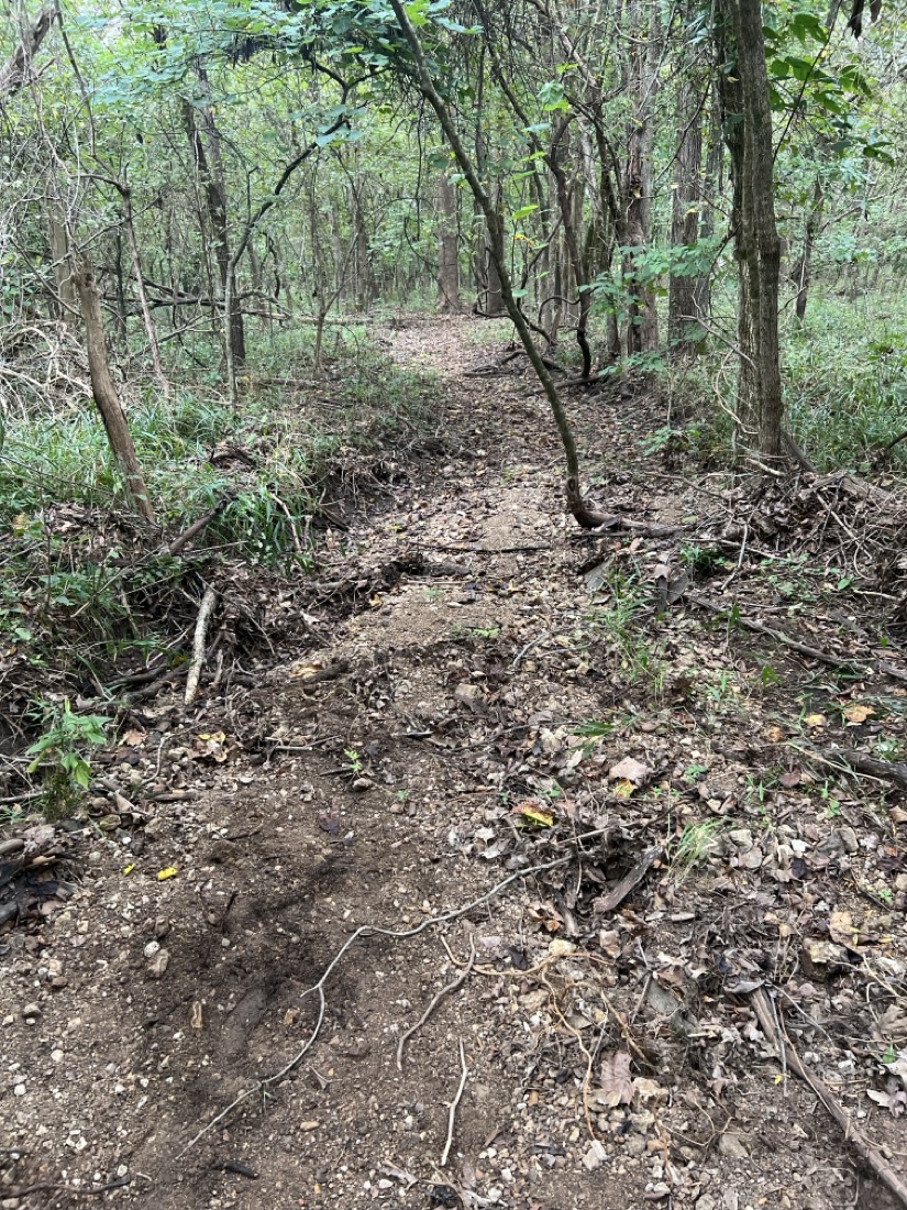 Photo of creek bed full of excess gravel, rock and forest debris