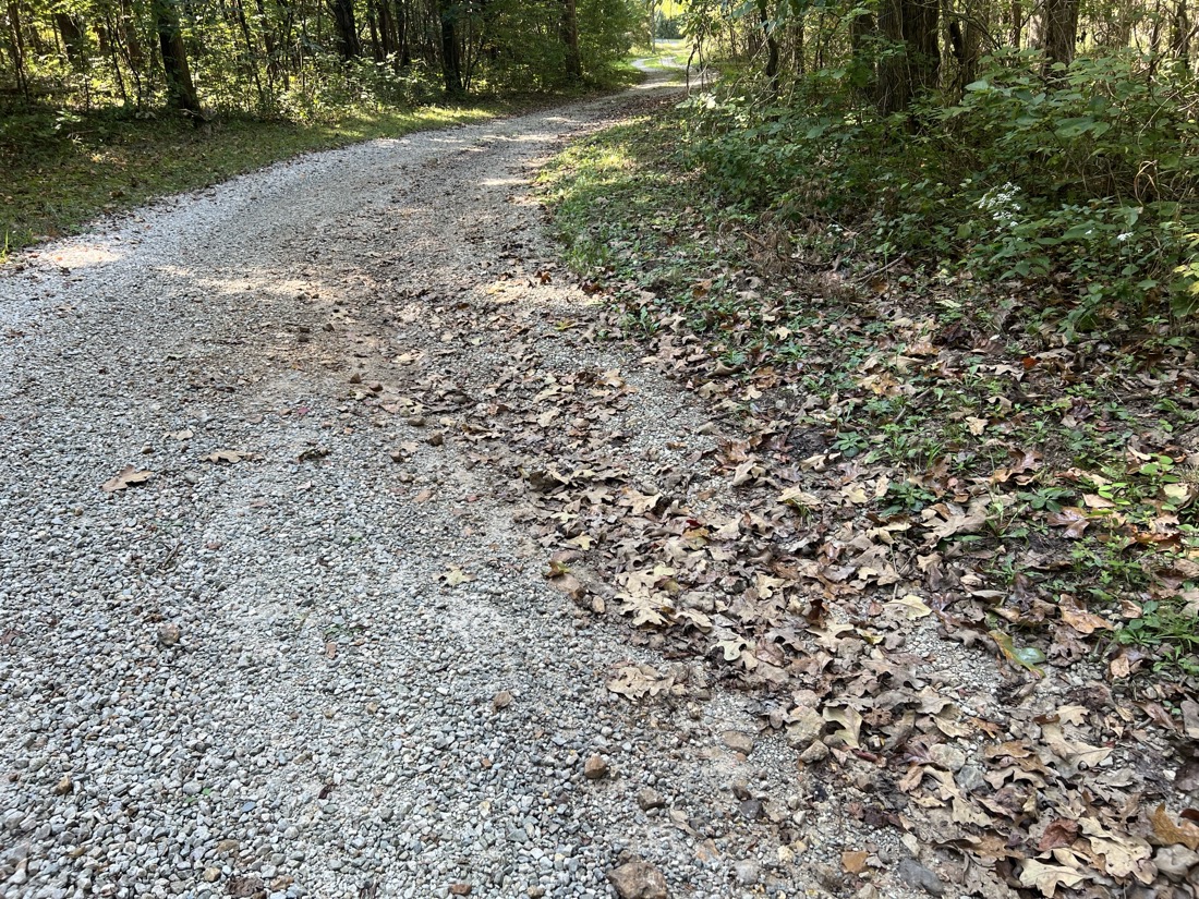 a gravel road with leaves and a gully on the right side