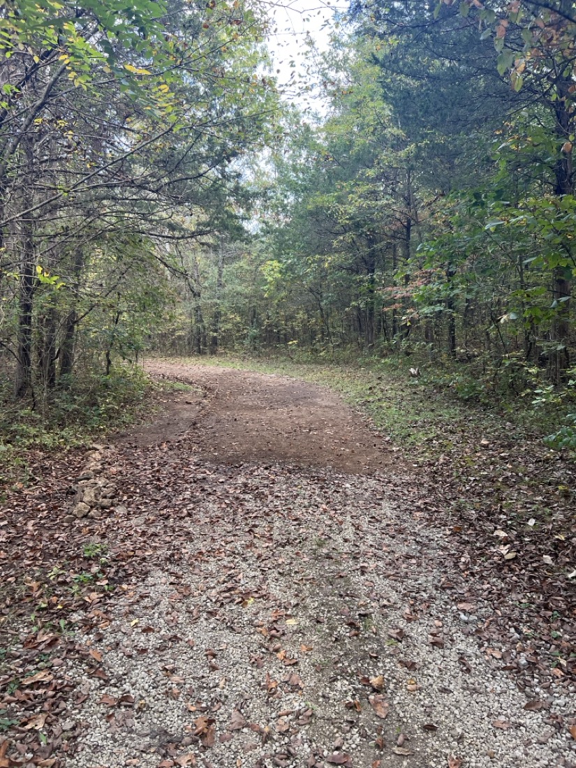 the gray gravel road being covered with darker brown creek gravel