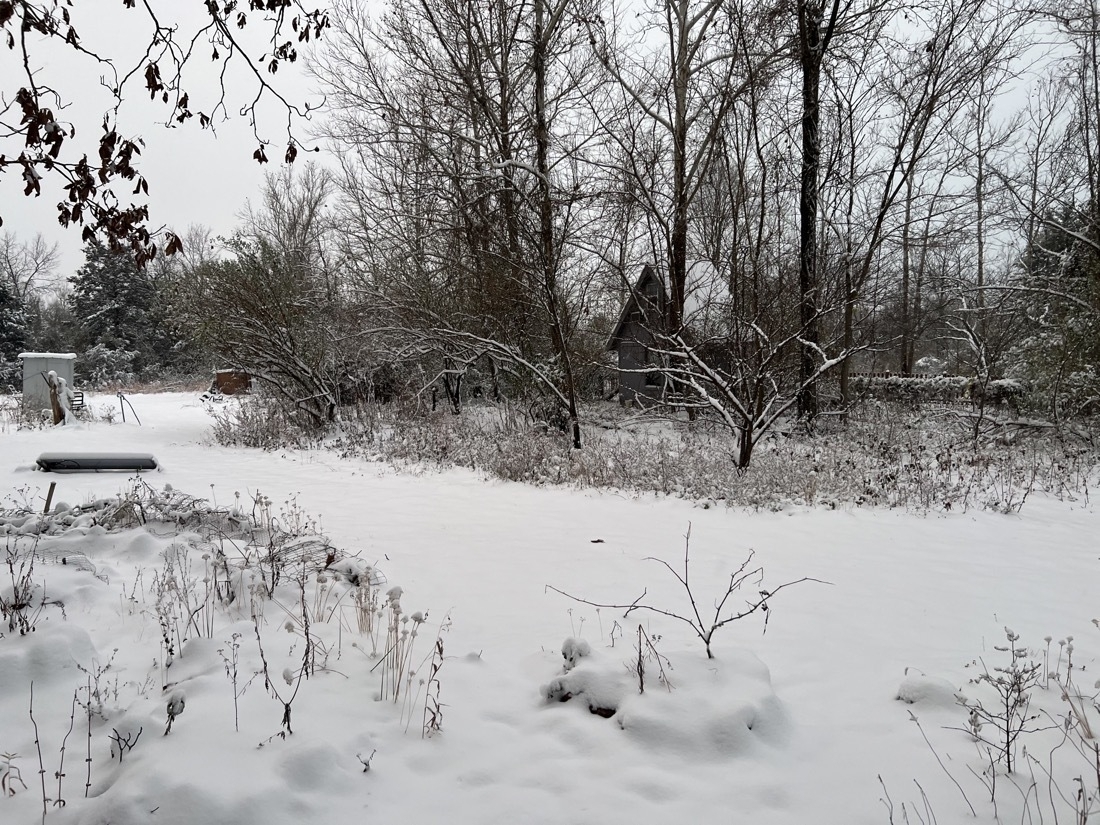 snowy landscape