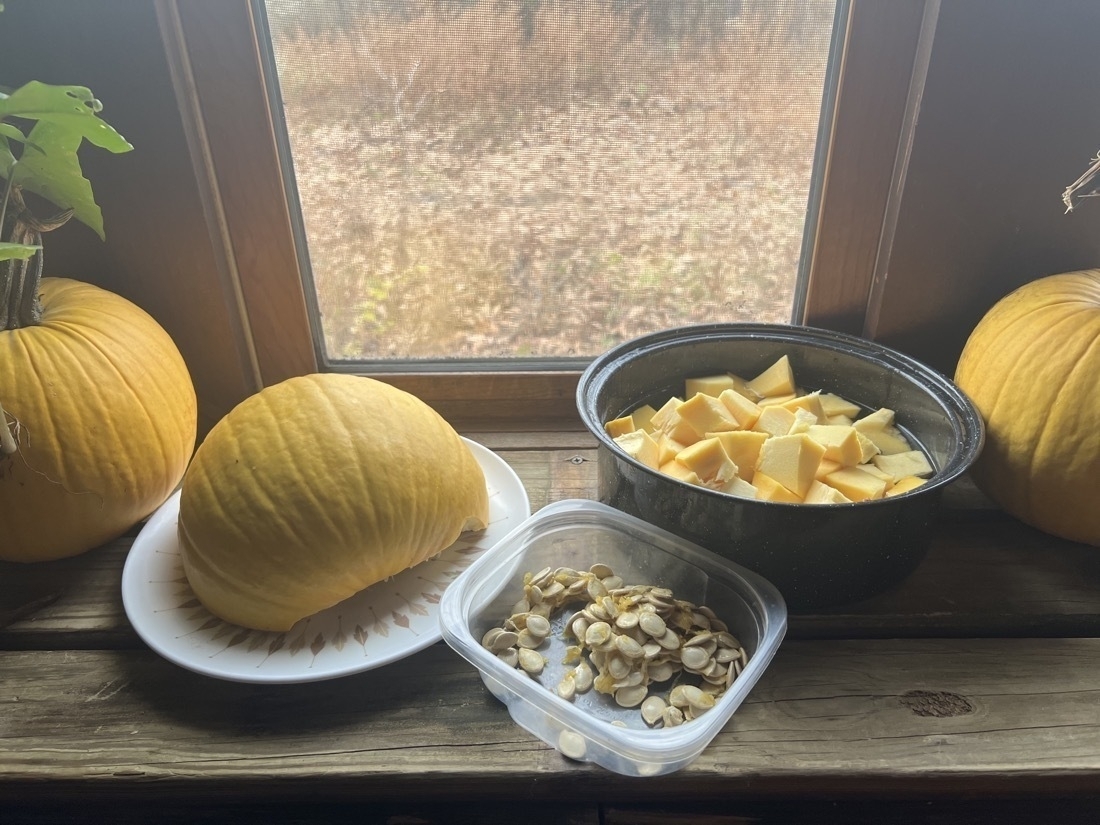 A table with various ingredients. A half pumkin on a plate. The other half is cut into cubes in a black pot and a container of pumpkin seeds. 