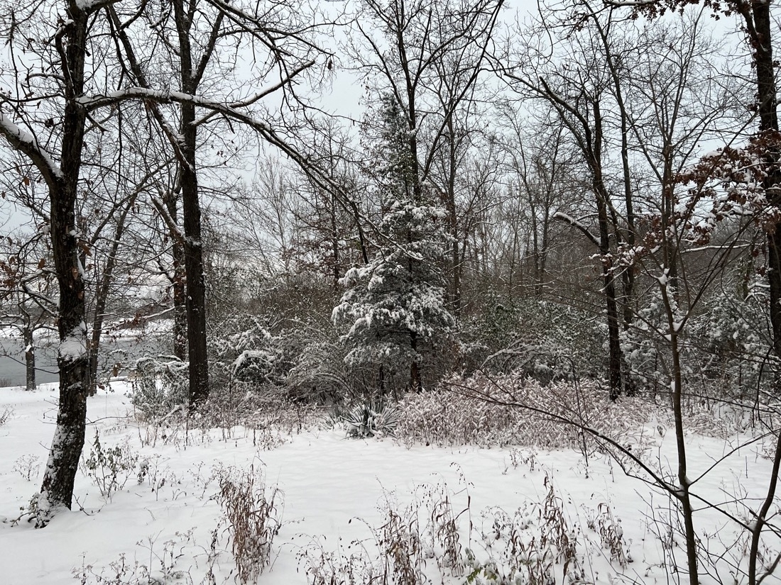 snowy landscape