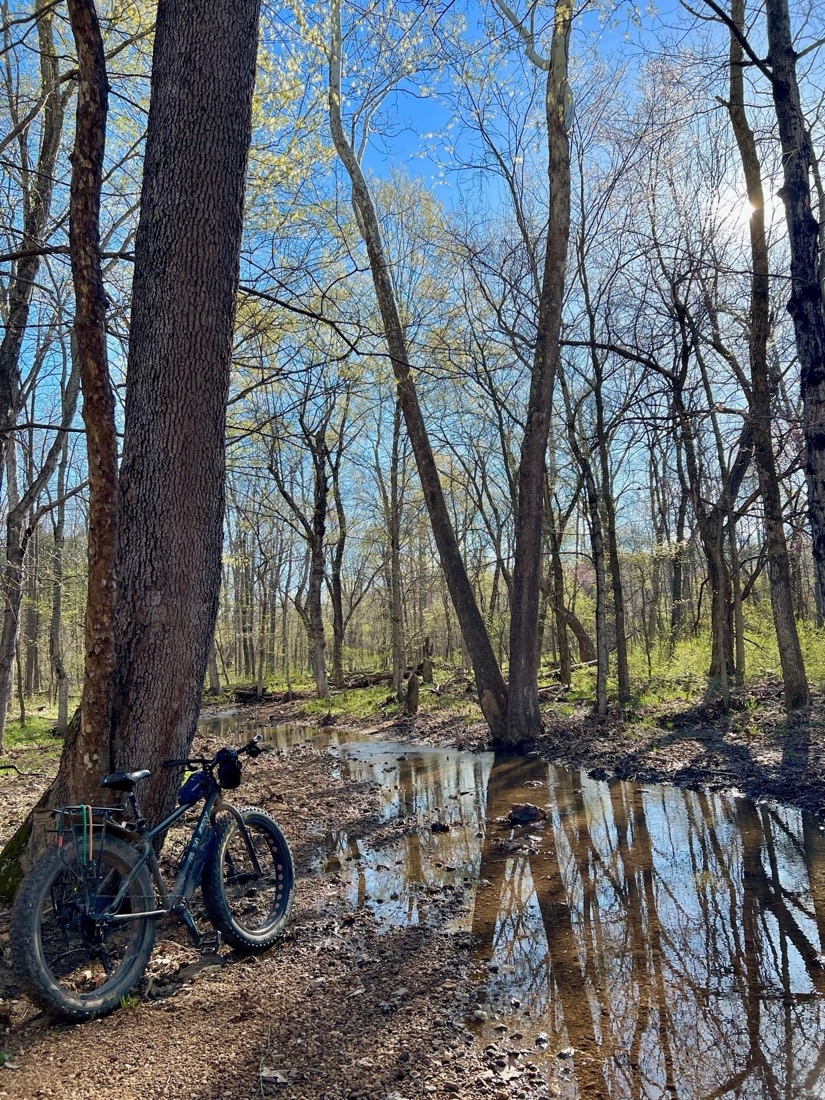 A fat tire bike leans against a tree in the woods, near a creek. The sky is blue and early green leaves are on the trees