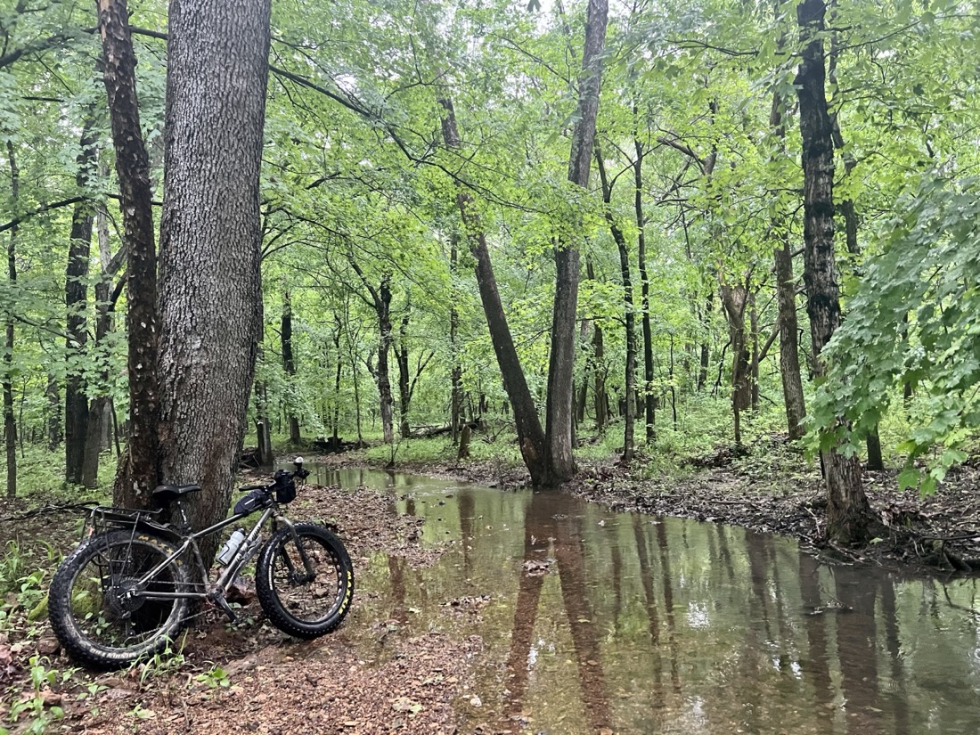 A fit tire bike leans against a tree next to a creek in a forest