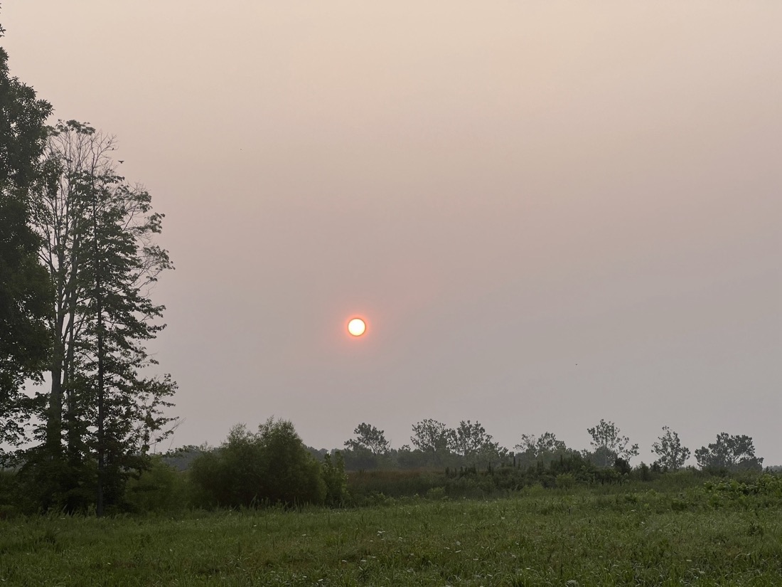 the dark red sun glowing in a gray hazy sky