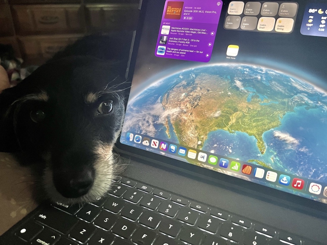 An adorable black dog with beige jaws and prominent eyebrows his his nose rested on a keyboard attached to an iPad. The screen of the iPad is behind the dog's head. On the screen is a wallpaper of the Earth and several widgets