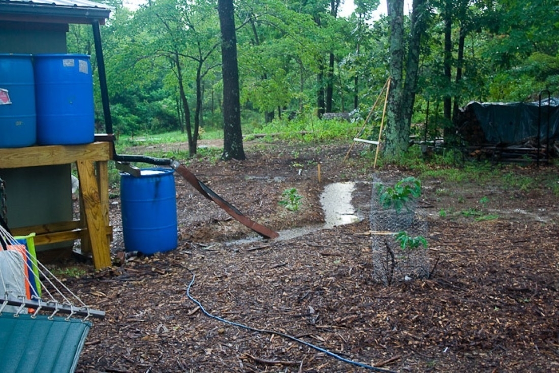 Rain barrels and swales collecting rain in the food forest behind my cabin. The system wasn’t complete when the photo was taken hence the crazy arrangement!