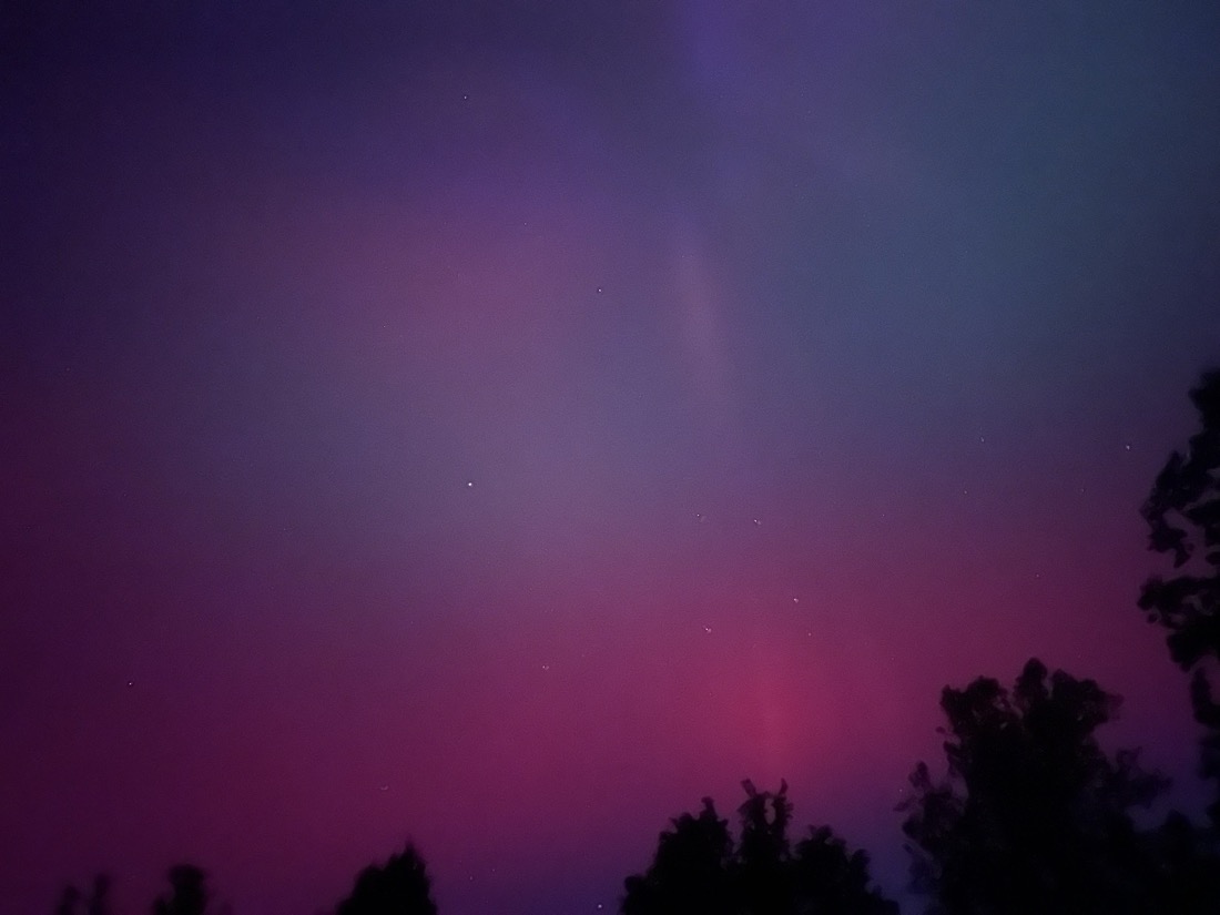 Pink, red and purple aurora with stars set against a line of silhouetted trees