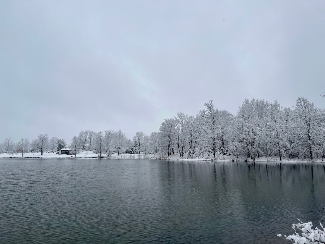 A lake in the foreground with snow covered trees on the far side of the shore