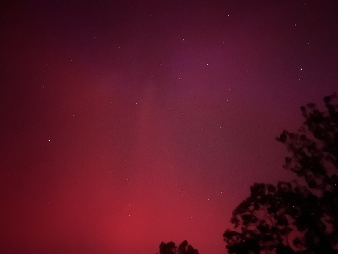 Red aurora with stars set against a line of silhouetted trees