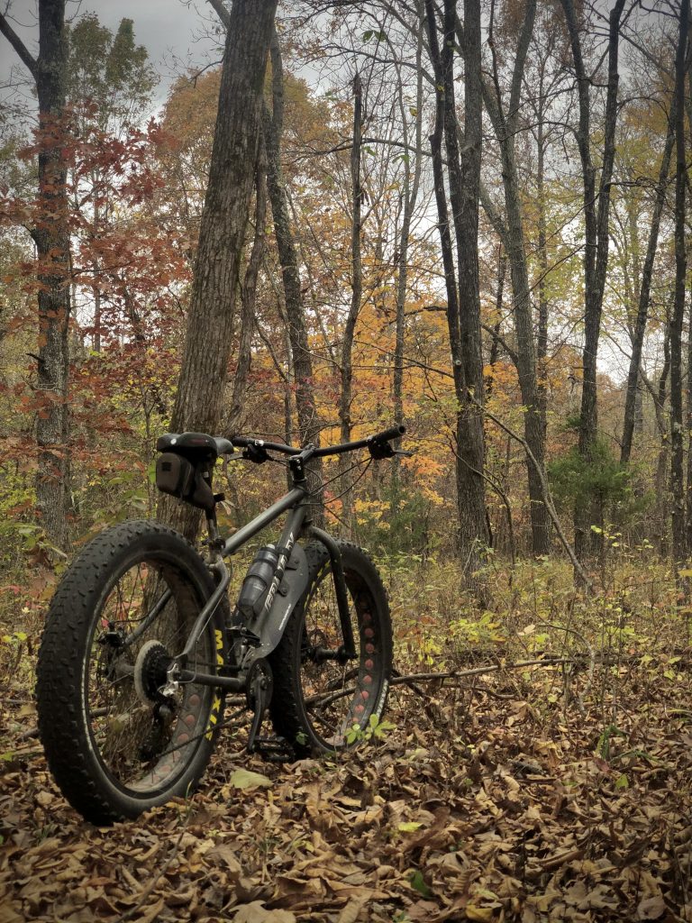 a fat tire bike leans against a tree in the fall woods