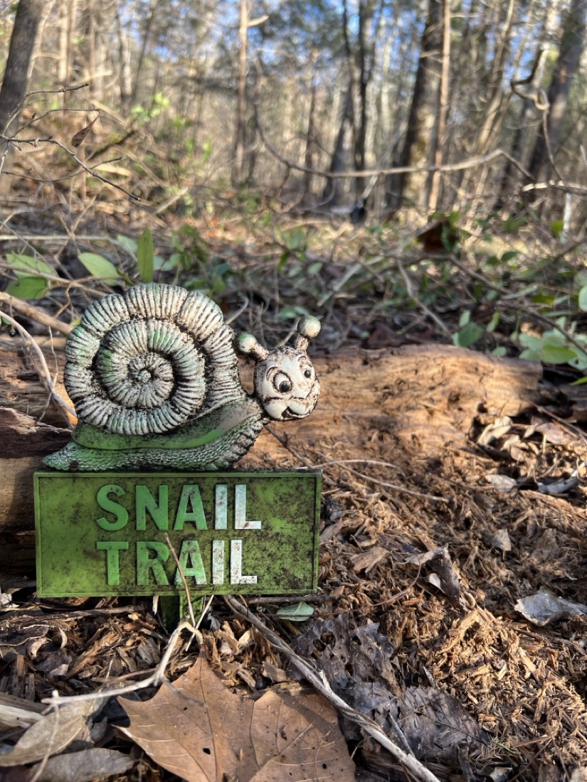 a small plastic sign with a cartoonish snail on top, below a boxed frame of the words snail trail. The sign is in the woods which are visible in the background