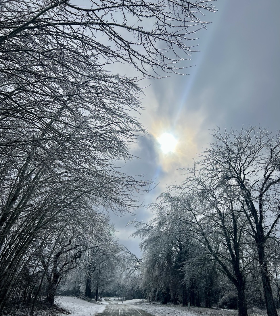 The sun in a gray cloudy sky above an a gravel road lined with ice covered trees on both sides