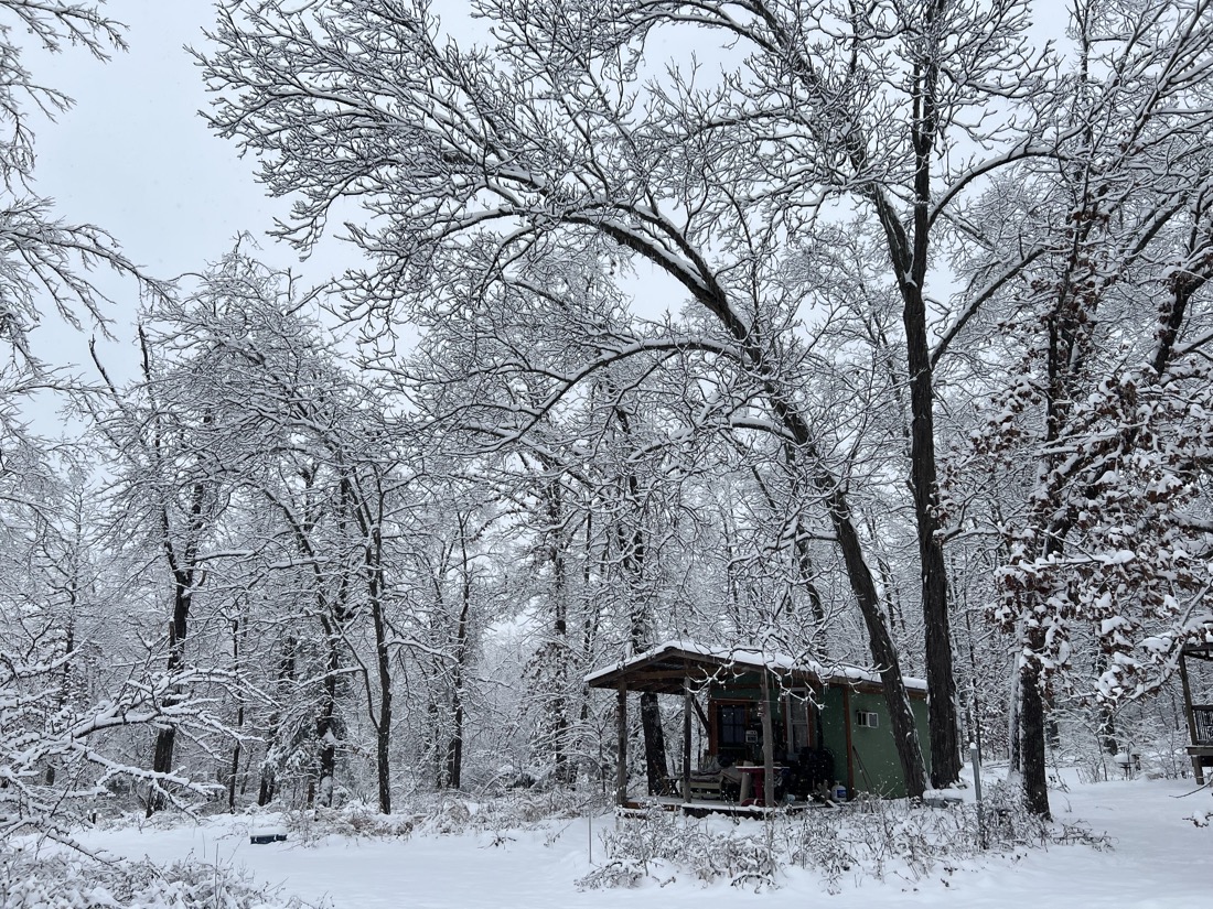 A green tiny house is surrounded by snow covered trees