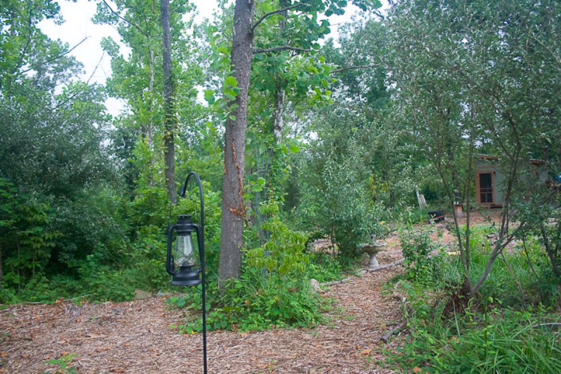 A mulched path with a lantern hanging in the foreground. In the background a green tiny house is barely visible behind a small tree, all in a wooded setting