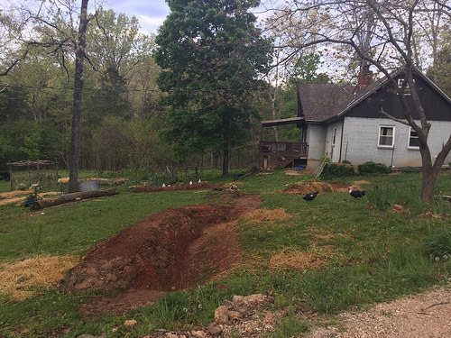 a gray house in the background, top right corner of the photo. In the foreground is a large freshly dug swale with fruit trees.