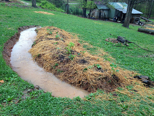 A new water collecting swale on a grassy lawn has filled with rain. The backside of the swale is planted with fruit and mulched with hay 