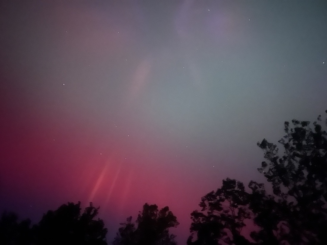 Red and pale green aurora with stars set against a line of silhouetted trees