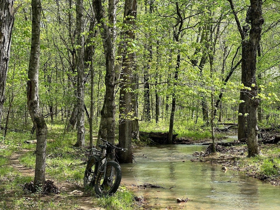 A woodland trail on the left and a bike leaning against a tree. To the right of the bike is a creek