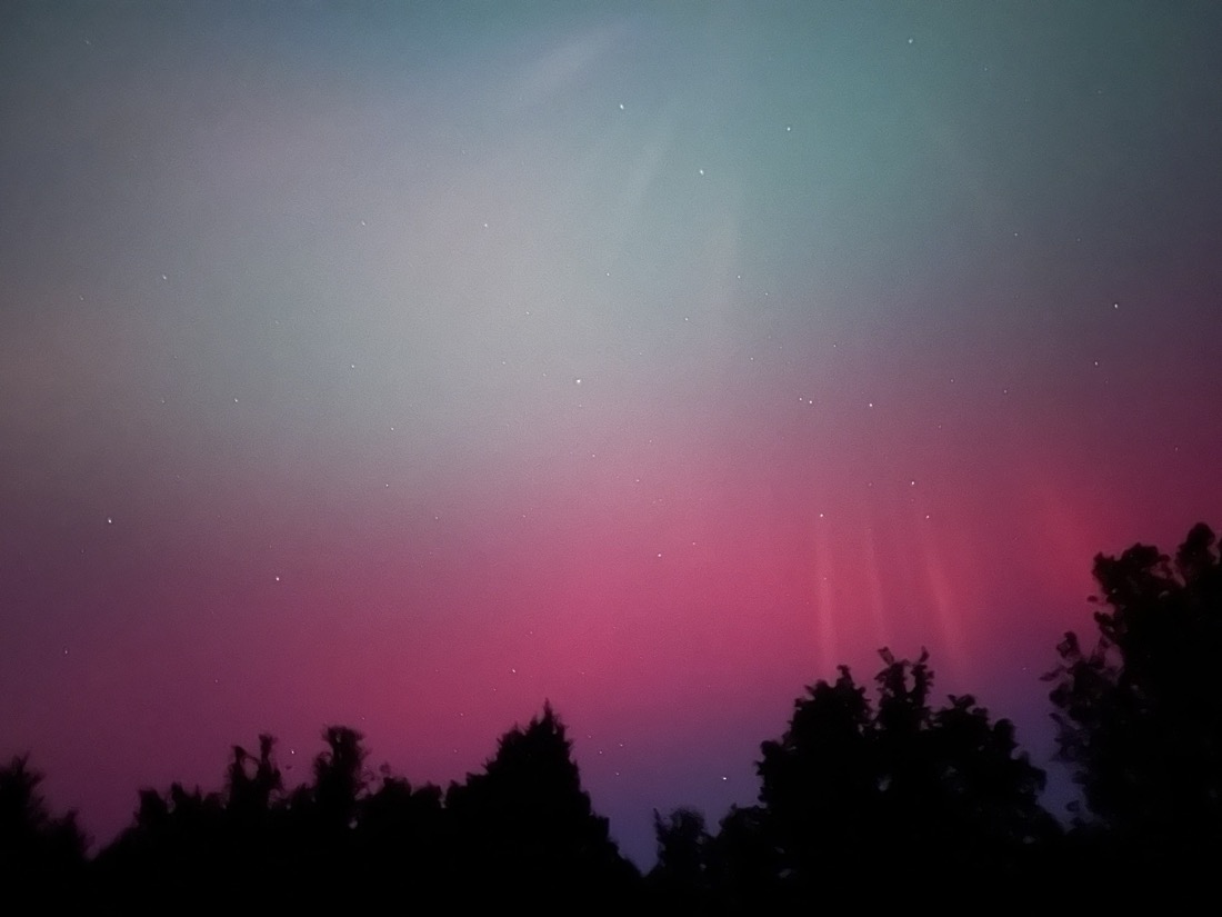 Pink and blue aurora with stars set against a line of silhouetted trees