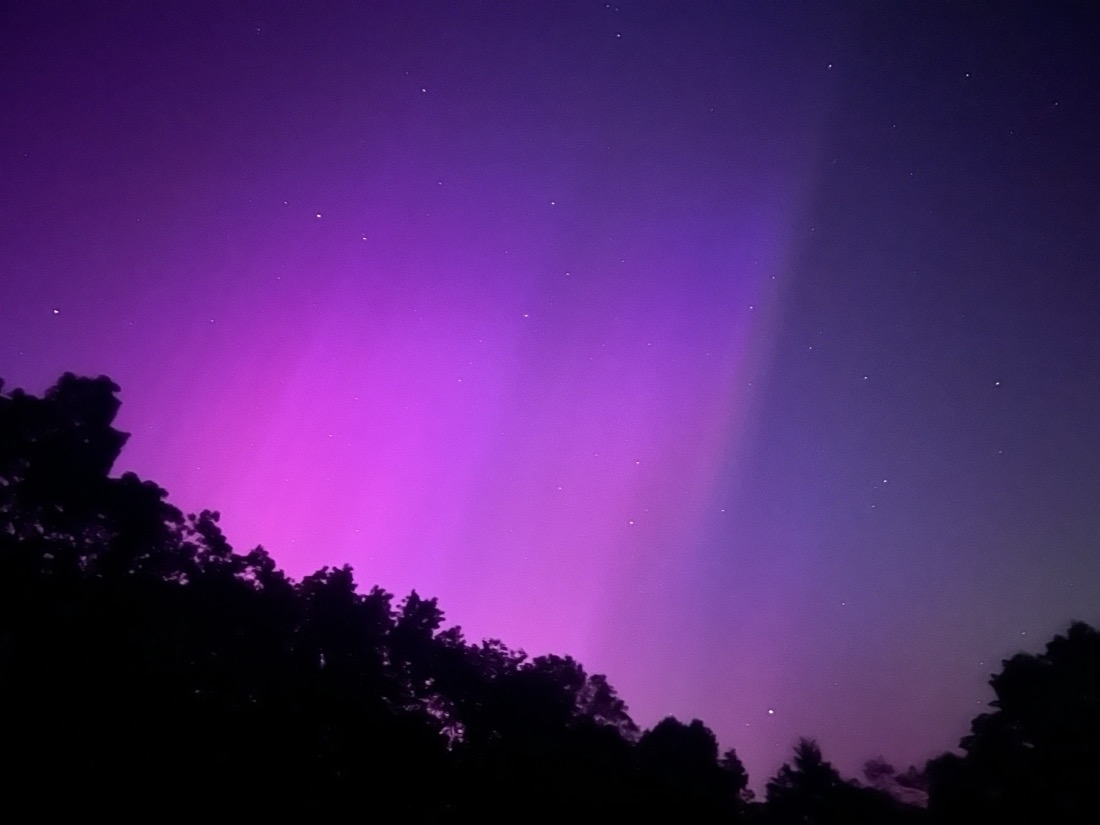 Pink aurora with stars set against a line of silhouetted trees